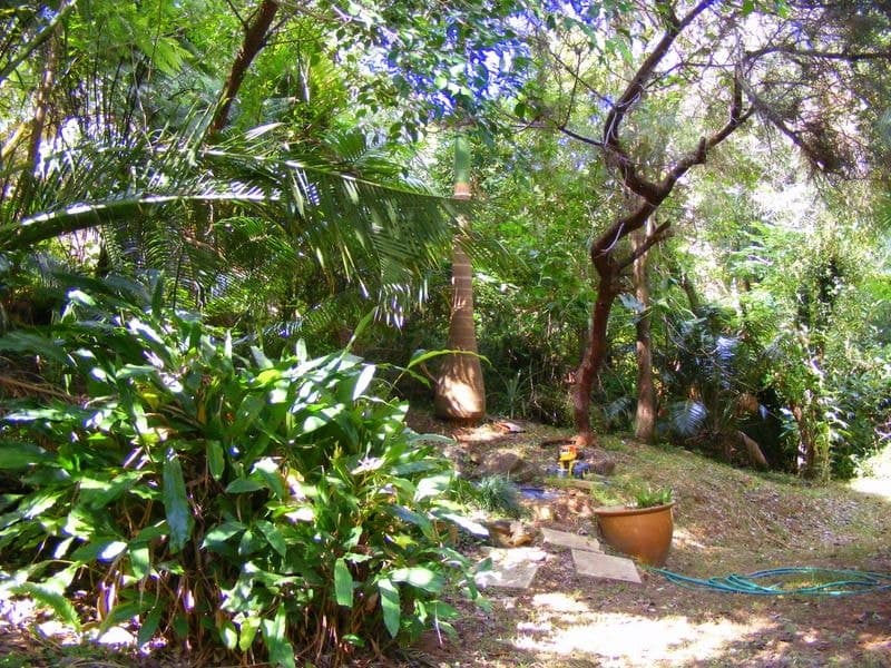 17 Lyon Street BELLINGEN NSW, Bellingen - Thumbnail 5