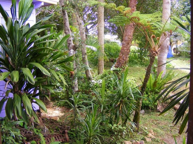 80 Wheatley Street BELLINGEN NSW, Bellingen - Thumbnail 3