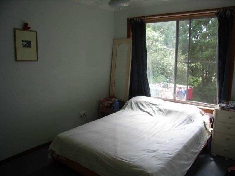 51 Lyon St BELLINGEN NSW, Bellingen - Thumbnail 7