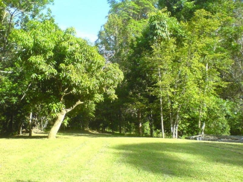 768 Hydes Creek Rd Valery BELLINGEN NSW, Bellingen - Image 1