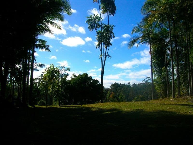 768 Hydes Creek Rd Valery BELLINGEN NSW, Bellingen - Thumbnail 2