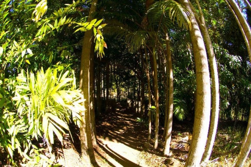 768 Hydes Creek Rd Valery BELLINGEN NSW, Bellingen - Thumbnail 6