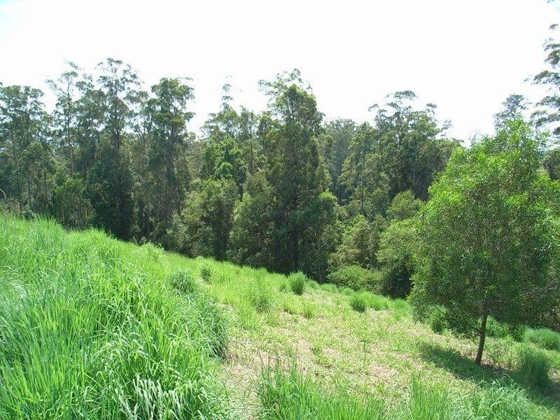 136 Mahers Road BELLINGEN NSW, Bellingen - Thumbnail 5
