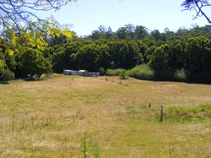 499 Bowraville Road BELLINGEN NSW, Bellingen - Thumbnail 3