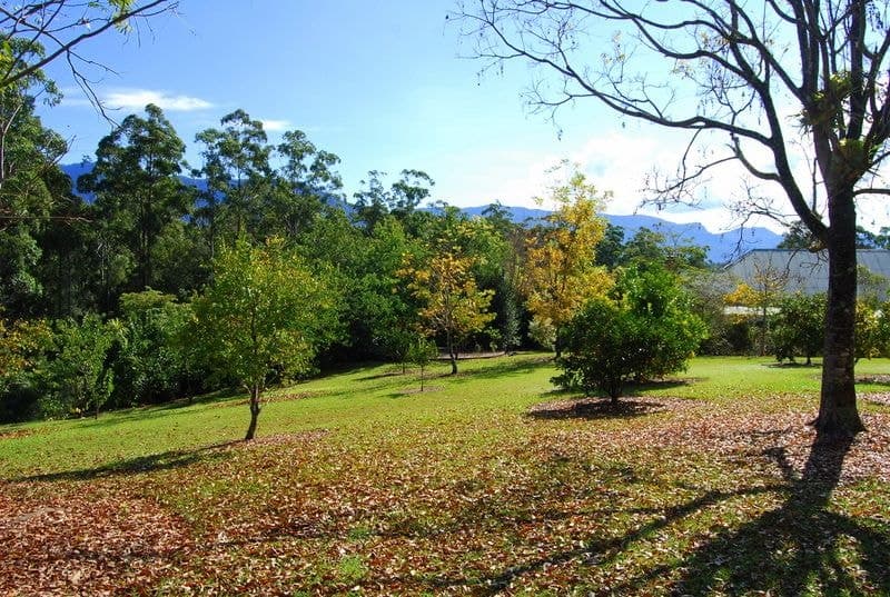 97 Mahers Road BELLINGEN NSW, Bellingen - Thumbnail 5