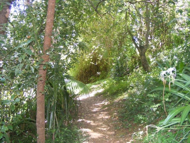 9 Dillon Close BELLINGEN NSW, Bellingen - Thumbnail 7