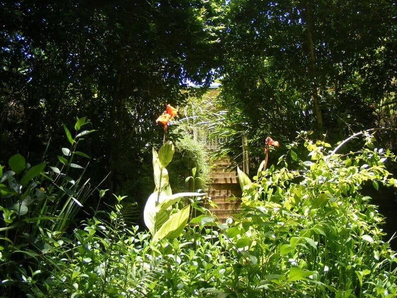 9 Dillon Close BELLINGEN NSW, Bellingen - Thumbnail 8