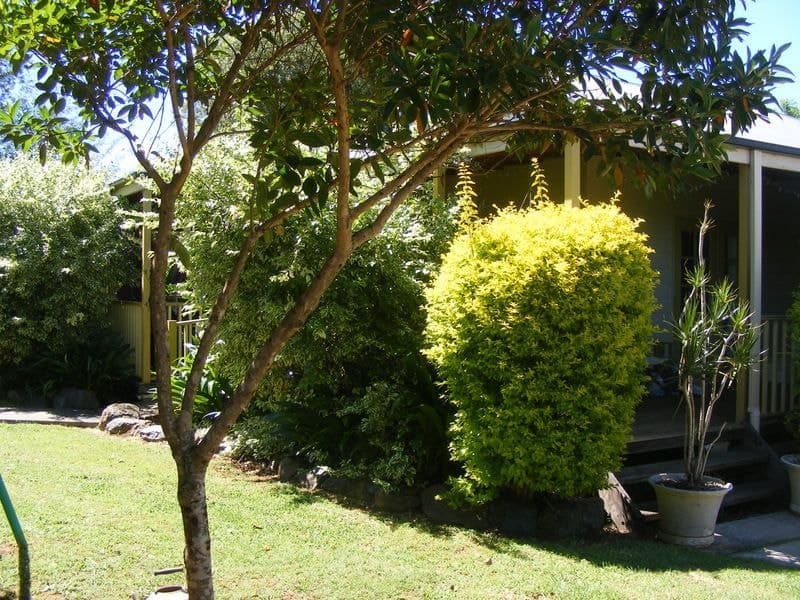 40 Dowle Street BELLINGEN NSW, Bellingen - Thumbnail 5