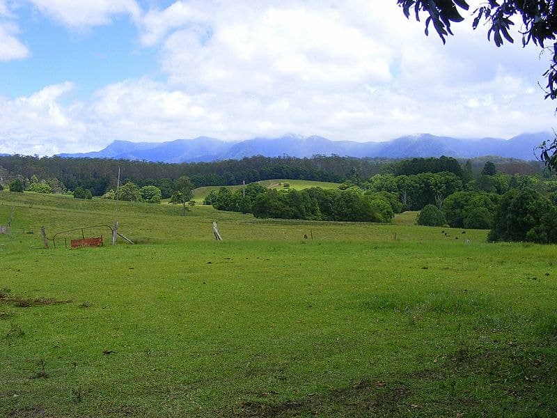 989 Valery Road Valery BELLINGEN NSW, Bellingen - Thumbnail 2