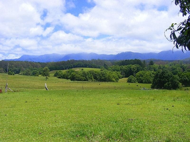 1-989 Valery Road Valery BELLINGEN NSW, Bellingen - Image 1