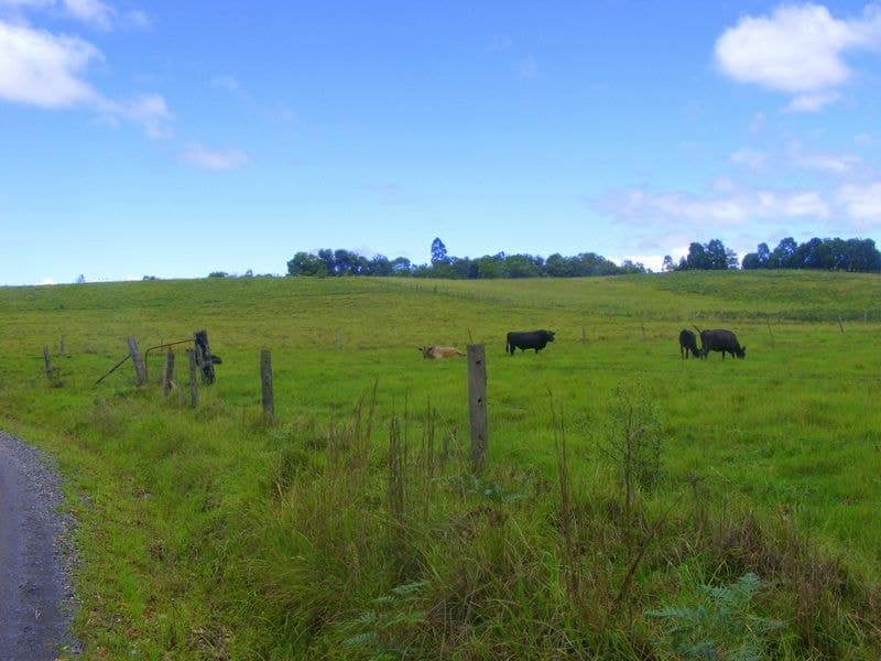 1-989 Valery Road Valery BELLINGEN NSW, Bellingen - Thumbnail 2