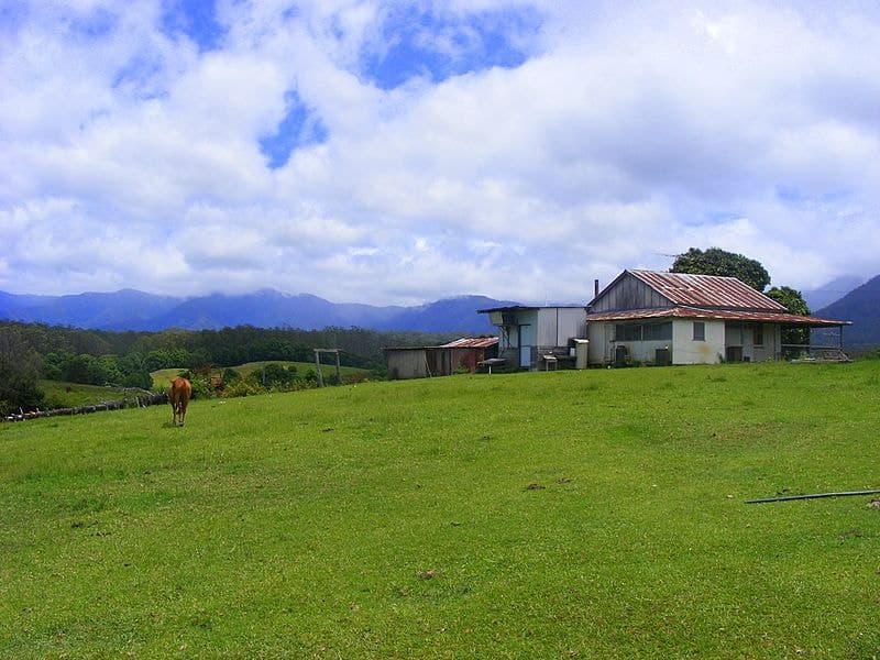 1-989 Valery Road Valery BELLINGEN NSW, Bellingen - Thumbnail 4