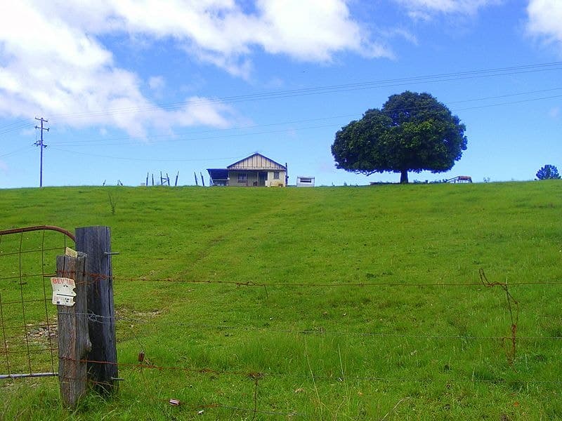 1-989 Valery Road Valery BELLINGEN NSW, Bellingen - Thumbnail 5