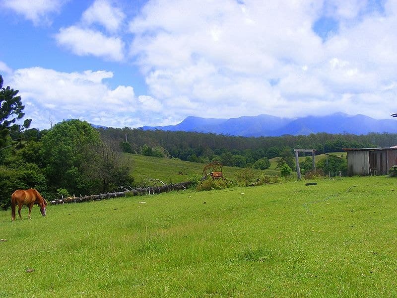 1-989 Valery Road Valery BELLINGEN NSW, Bellingen - Thumbnail 6