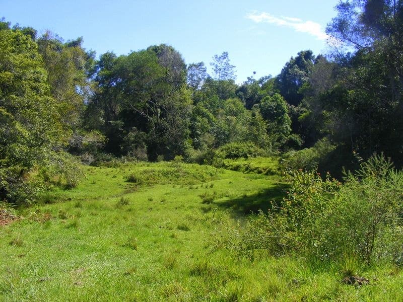 989_2 Valery Road Valery BELLINGEN NSW, Bellingen - Thumbnail 2