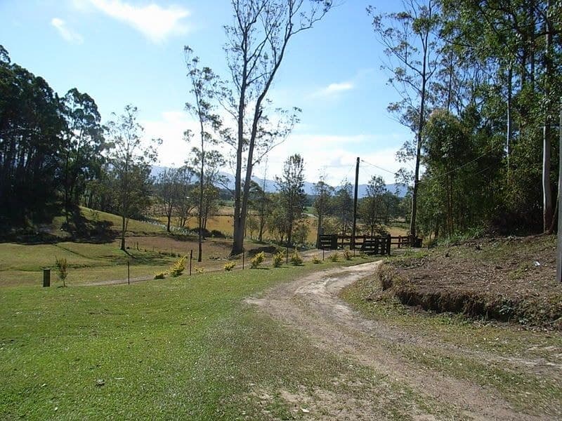 209 Maydwell St Fernmount BELLINGEN NSW, Fernmount Bellingen - Thumbnail 2