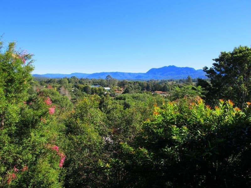 10 Casuarina Ave BELLINGEN NSW, Bellingen - Thumbnail 3