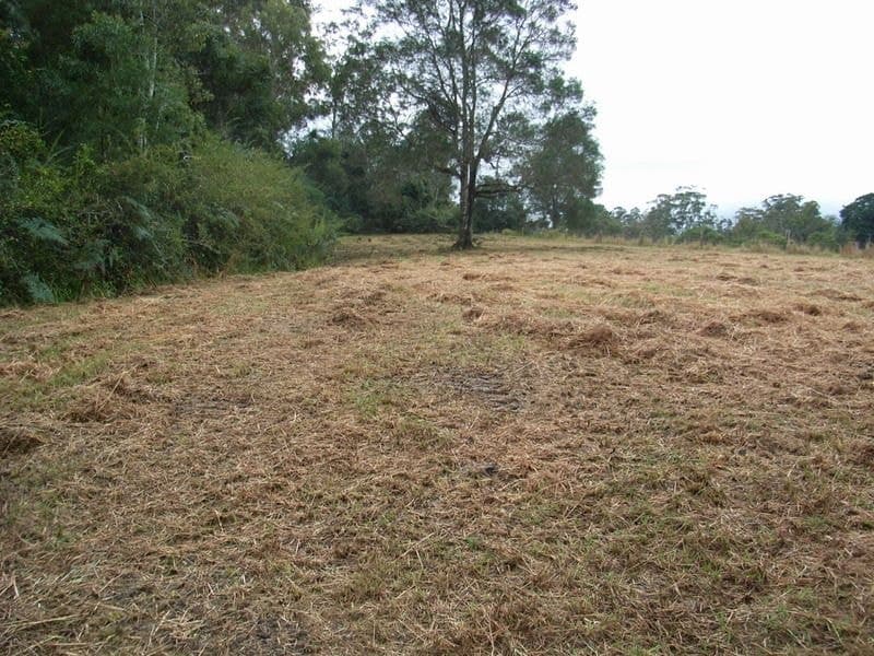 133-Lot 2 Timboon Road Valery BELLINGEN NSW, Bellingen - Thumbnail 2