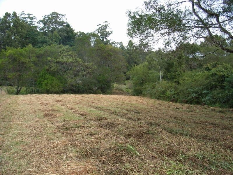 133-Lot 2 Timboon Road Valery BELLINGEN NSW, Bellingen - Thumbnail 3