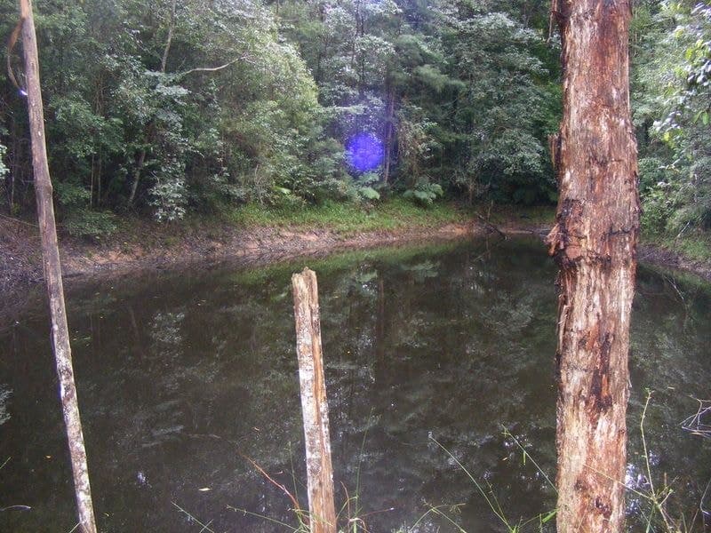 133-Lot 2 Timboon Road Valery BELLINGEN NSW, Bellingen - Thumbnail 6