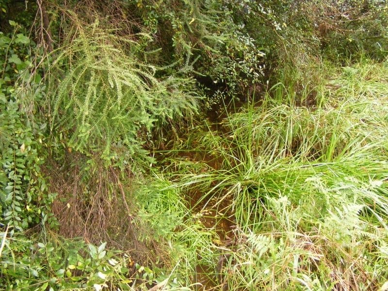 133-Lot 2 Timboon Road Valery BELLINGEN NSW, Bellingen - Thumbnail 7