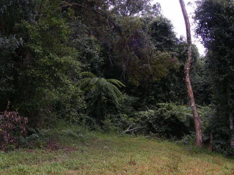133-Lot 2 Timboon Road Valery BELLINGEN NSW, Bellingen - Thumbnail 8
