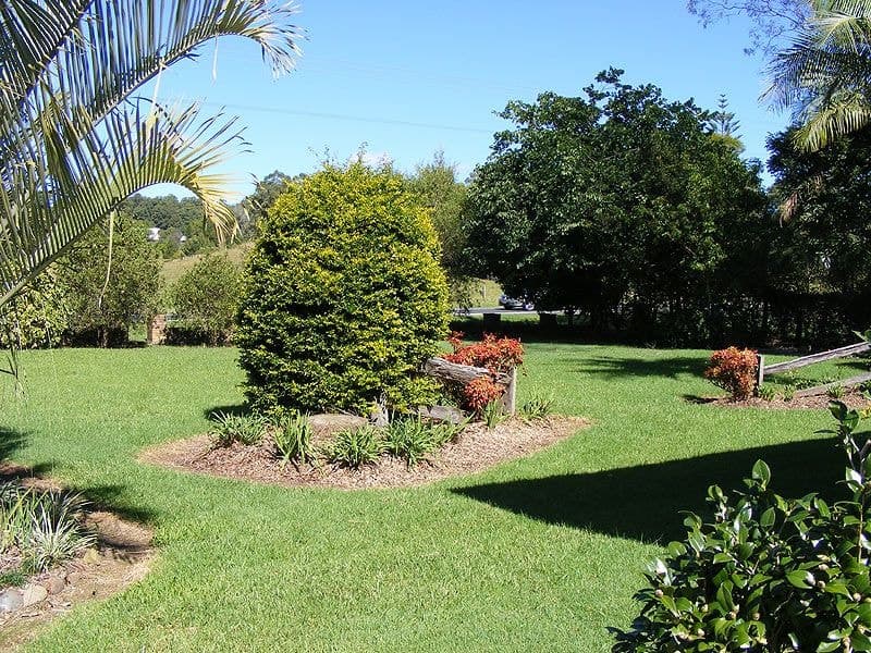 640 Waterfall Way Fernmount BELLINGEN NSW, Fernmount Bellingen - Thumbnail 2