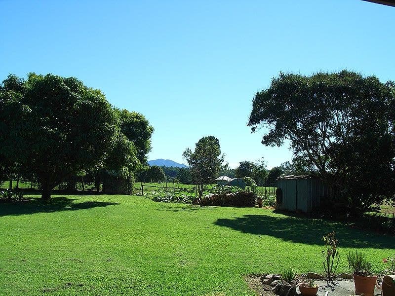 640 Waterfall Way Fernmount BELLINGEN NSW, Fernmount Bellingen - Thumbnail 5
