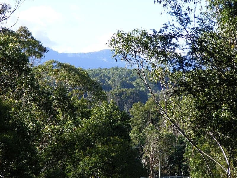 Lot 4 Maydwell Street Fernmount BELLINGEN NSW, Bellingen - Image 1