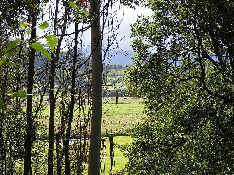 Lot 4 Maydwell Street Fernmount BELLINGEN NSW, Bellingen - Thumbnail 3