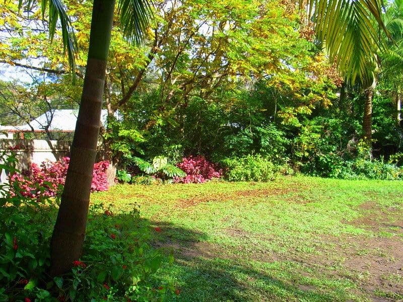 17 Tamarind Drive BELLINGEN NSW, Bellingen - Thumbnail 4