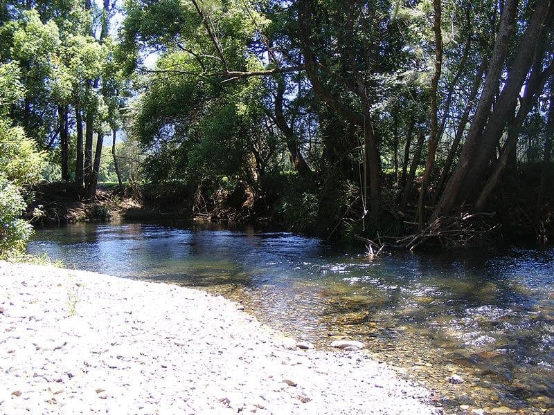 69 Gordonville Rd Gleniffer BELLINGEN NSW, Bellingen - Thumbnail 3