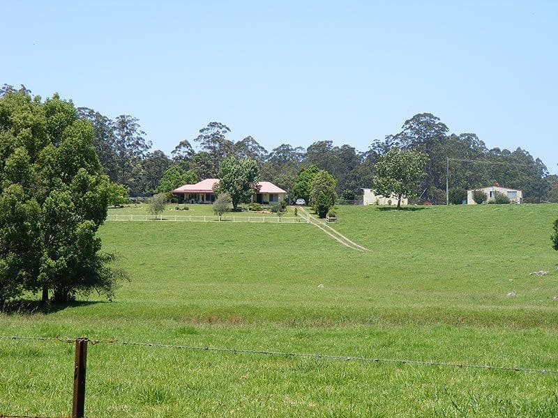 69 Gordonville Rd Gleniffer BELLINGEN NSW, Bellingen - Thumbnail 5