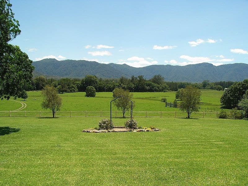 69 Gordonville Rd Gleniffer BELLINGEN NSW, Bellingen - Thumbnail 7