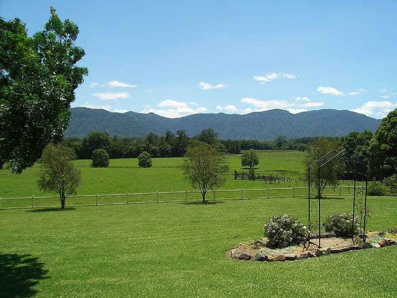69 Gordonville Rd Gleniffer BELLINGEN NSW, Bellingen - Thumbnail 8