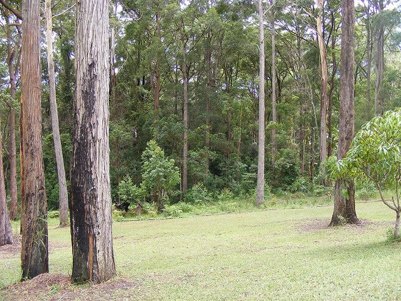 31 Elk Avenue REPTON NSW, Repton - Thumbnail 3