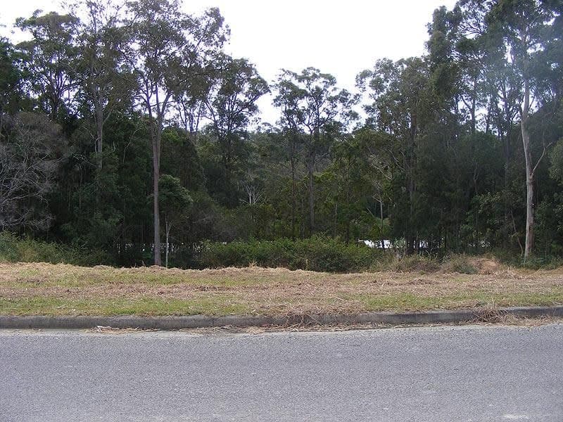 9 Alex Pike Dr RALEIGH NSW, Raleigh - Thumbnail 2