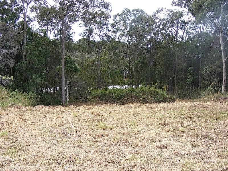9 Alex Pike Dr RALEIGH NSW, Raleigh - Thumbnail 3