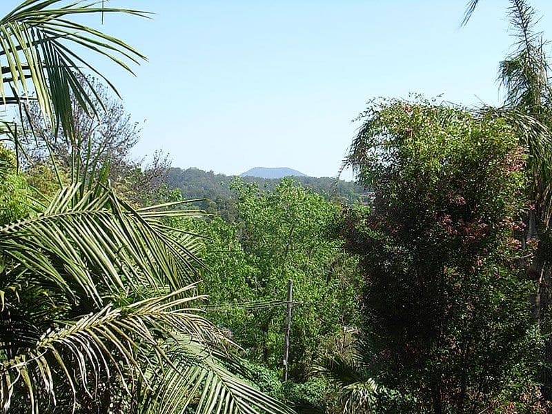 2 Casuarina Ave BELLINGEN NSW, Bellingen - Thumbnail 3
