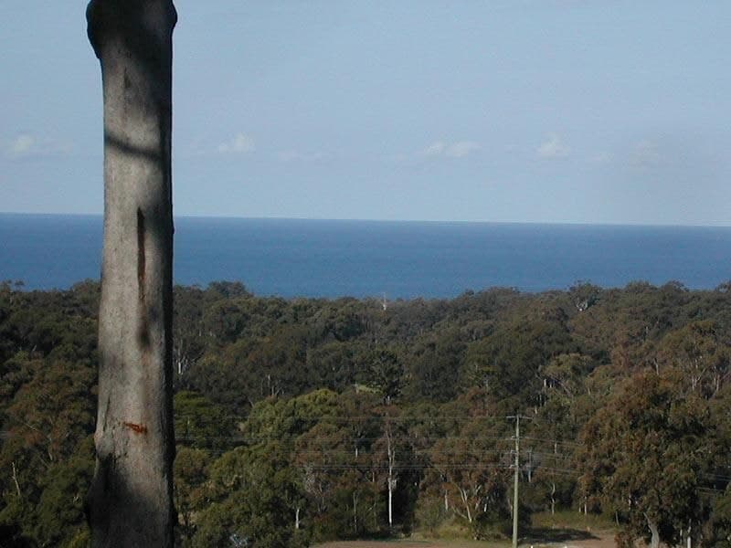 9 Alex Pike Dr RALEIGH NSW, Raleigh - Image 1