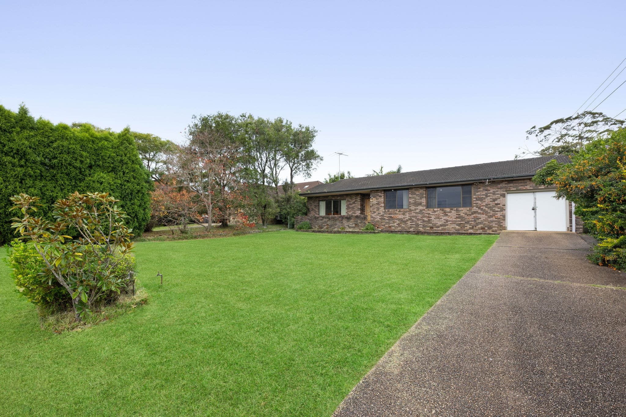 19 Tristram Road, Beacon Hill NSW 2100, Beacon Hill - Thumbnail 8