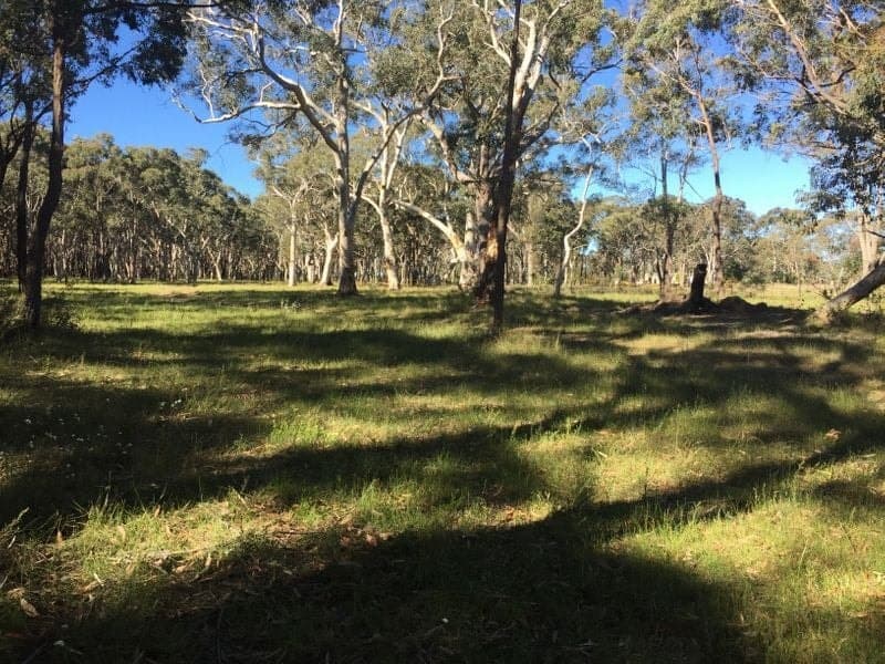 93 Colo Road, COLO VALE NSW, Colo Vale - Image 1