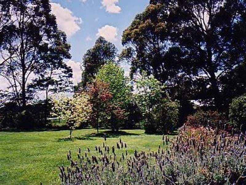 26 Wilson Drive, COLO VALE NSW, Colo Vale - Image 1