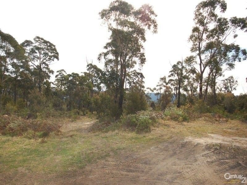 Lot 2 Gascoigne Street, WILLOW VALE NSW, Willow Vale - Image 1
