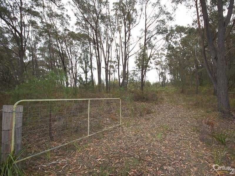 Sutton Forest NSW, Sutton Forest - Image 1