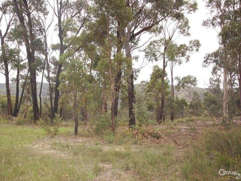Lot 18 Badgery Street, WILLOW VALE NSW, Willow Vale - Image 1