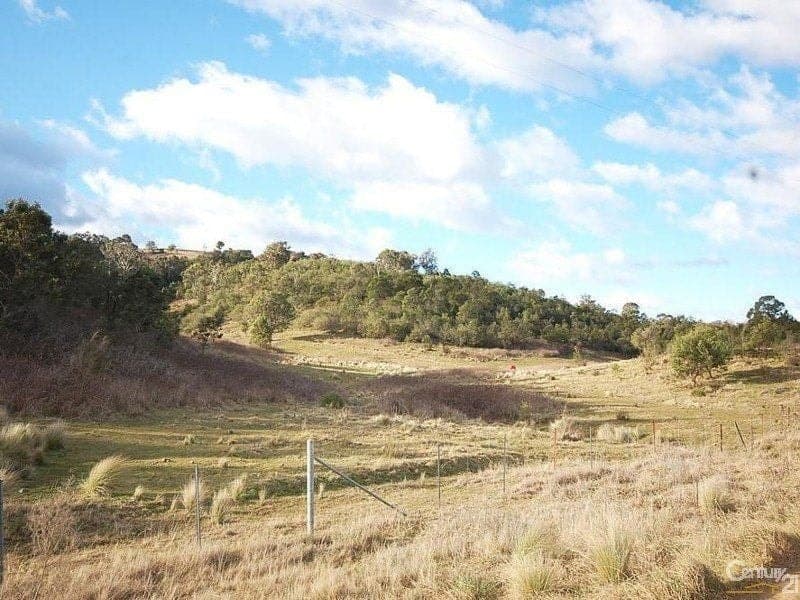 Lot 200 Pulpitt Rock Road, BULLIO NSW, Bullio - Image 1