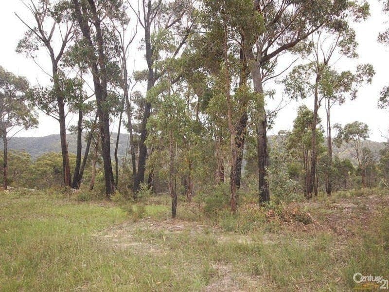 Lot 16 Badgery Street, WILLOW VALE NSW, Willow Vale - Image 1