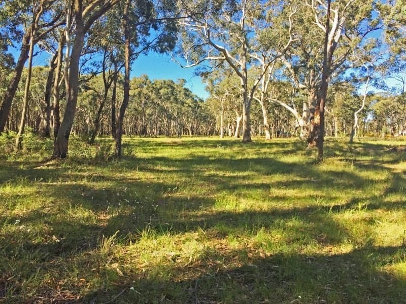 Lot 212 Colo Road, COLO VALE NSW, Colo Vale - Image 1