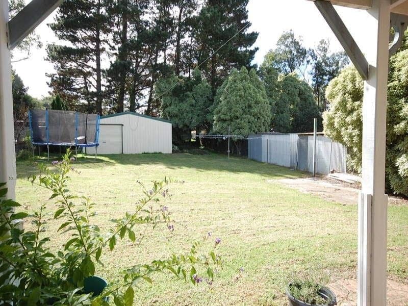 14 Elsworth Avenue, Balaclava NSW, Balaclava - Image 1